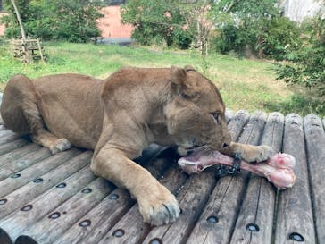 多摩動物公園に投稿された画像（2025/11/2）