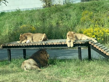 多摩動物公園に投稿された画像（2025/11/2）