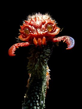 金曜ロードショーとジブリ展（静岡展）に投稿された画像（2025/11/2）