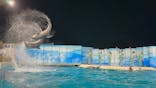 新江ノ島水族館に投稿された画像（2025/11/2）