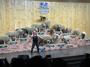 マザー牧場に投稿された画像（2025/11/2）