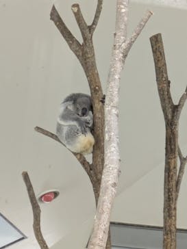 こども動物自然公園（埼玉県公園緑地協会）に投稿された画像（2025/11/2）