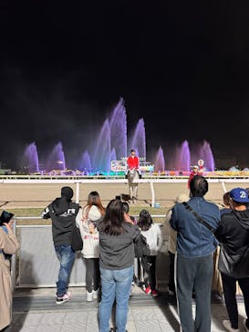 東京メガイルミに投稿された画像（2025/11/2）