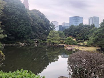 新宿御苑に投稿された画像（2025/11/2）