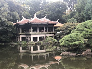 新宿御苑に投稿された画像（2025/11/2）