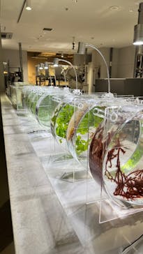 AOAO SAPPOROに投稿された画像（2025/11/2）