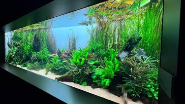 AOAO SAPPOROに投稿された画像（2025/11/2）