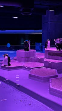 AOAO SAPPOROに投稿された画像（2025/11/2）