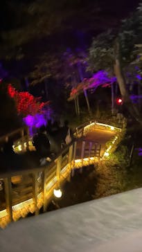 ニジゲンノモリに投稿された画像（2025/11/2）