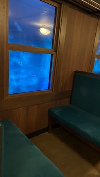 ニジゲンノモリに投稿された画像（2025/11/2）