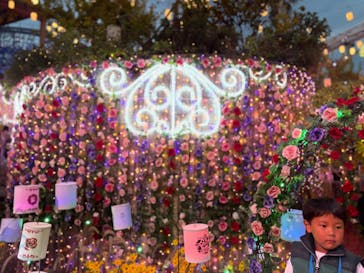 ひらかたパークに投稿された画像（2025/11/2）