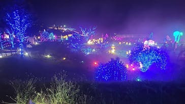 EnglishGardenローザンベリー多和田に投稿された画像（2025/11/2）
