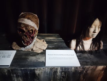 ホラーにふれる展に投稿された画像（2025/11/2）