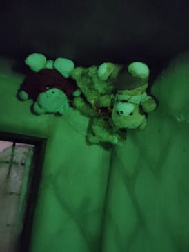 ホラーにふれる展に投稿された画像（2025/11/2）