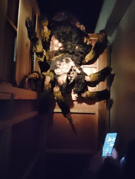 ホラーにふれる展に投稿された画像（2025/11/2）