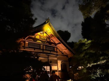 博多ライトアップウォーク実行委員会に投稿された画像（2025/11/2）