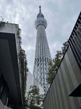 東京スカイツリーに投稿された画像（2025/11/2）