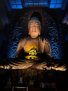 博多ライトアップウォーク実行委員会に投稿された画像（2025/11/2）