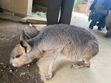 横浜・八景島シーパラダイスに投稿された画像（2025/11/2）