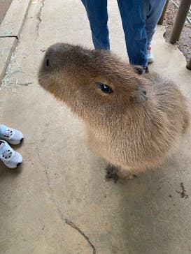 横浜・八景島シーパラダイスに投稿された画像（2025/11/2）