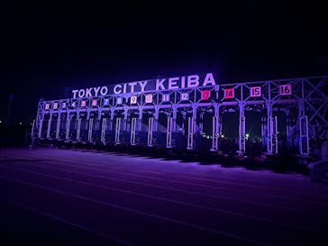 東京メガイルミに投稿された画像（2025/11/2）