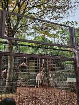 恩賜上野動物園に投稿された画像（2025/11/2）