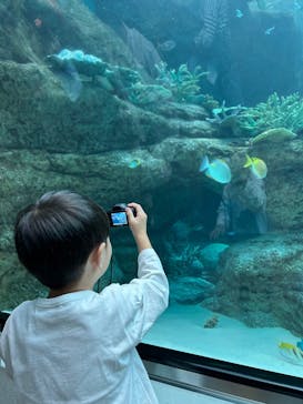 名古屋港水族館に投稿された画像（2025/11/2）