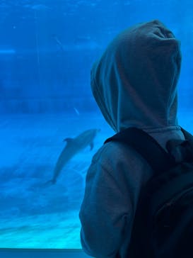 名古屋港水族館に投稿された画像（2025/11/2）