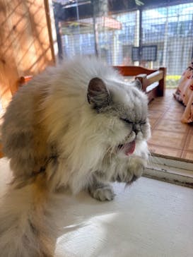 那須どうぶつ王国に投稿された画像（2025/11/2）