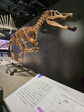 福井県立恐竜博物館に投稿された画像（2025/11/2）