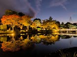 国営昭和記念公園 秋の夜散歩に投稿された画像（2025/11/3）