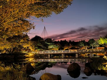 国営昭和記念公園 秋の夜散歩に投稿された画像（2025/11/2）