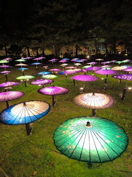 国営昭和記念公園 秋の夜散歩に投稿された画像（2025/11/2）