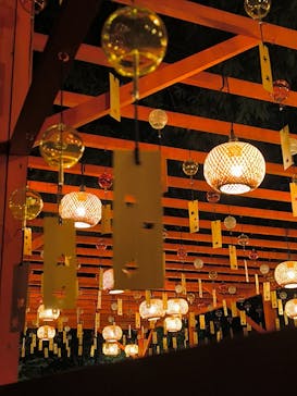 国営昭和記念公園 秋の夜散歩に投稿された画像（2025/11/2）