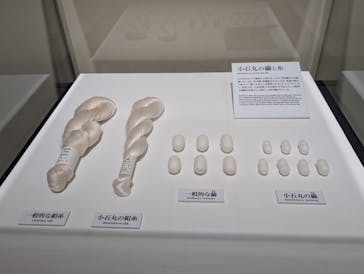 正倉院 THE SHOW ―感じる。いま、ここにある奇跡―　@上野の森美術館に投稿された画像（2025/11/2）