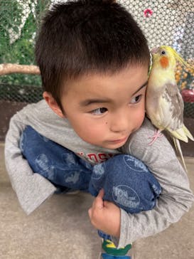 アニタッチ 東京ドームシティに投稿された画像（2025/11/2）