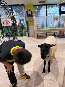 アニタッチ 東京ドームシティに投稿された画像（2025/11/2）