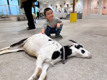 アニタッチ 東京ドームシティに投稿された画像（2025/11/2）