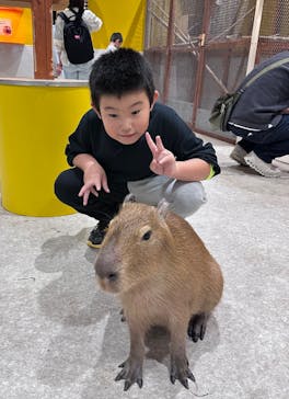 アニタッチ 東京ドームシティに投稿された画像（2025/11/2）