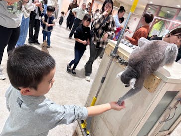 アニタッチ 東京ドームシティに投稿された画像（2025/11/2）