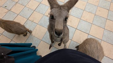 ANIMAL WONDER REZOURT 市原ぞうの国・サユリワールドに投稿された画像（2025/11/2）