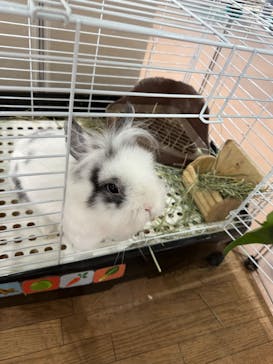 いきもの探検隊上尾に投稿された画像（2025/11/2）