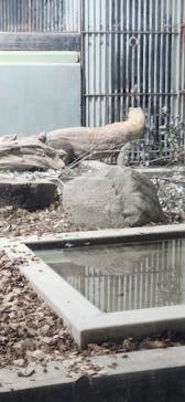 名古屋市東山動植物園に投稿された画像（2025/11/2）