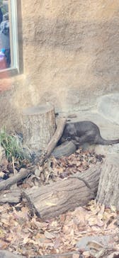 名古屋市東山動植物園に投稿された画像（2025/11/2）