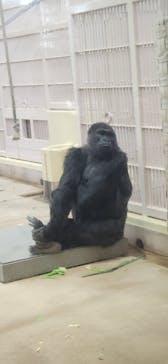 名古屋市東山動植物園に投稿された画像（2025/11/2）