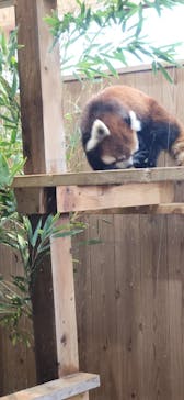 名古屋市東山動植物園に投稿された画像（2025/11/2）