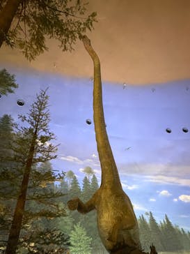 福井県立恐竜博物館に投稿された画像（2025/11/2）