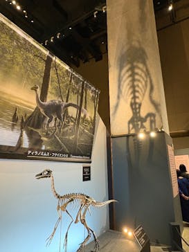 福井県立恐竜博物館に投稿された画像（2025/11/2）