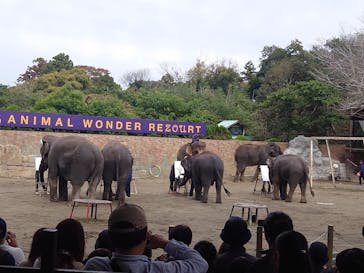 ANIMAL WONDER REZOURT 市原ぞうの国・サユリワールドに投稿された画像（2025/11/3）