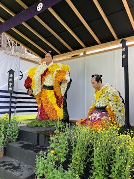 仙巌園に投稿された画像（2025/11/3）